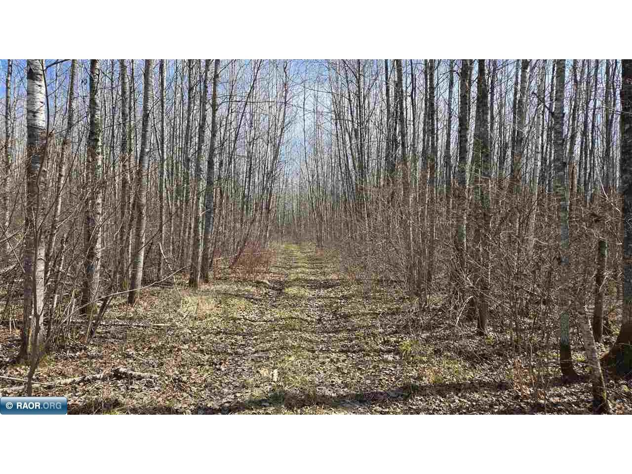 TBD 43 Lummi Rd Orr MN 55771 149952 image24