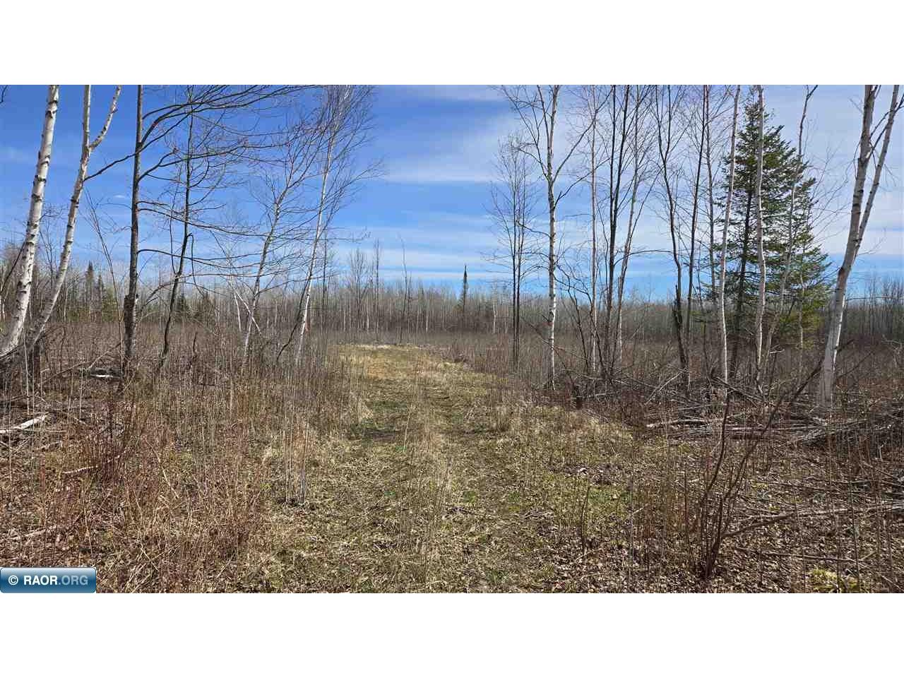 TBD 43 Lummi Rd Orr MN 55771 149952 image25