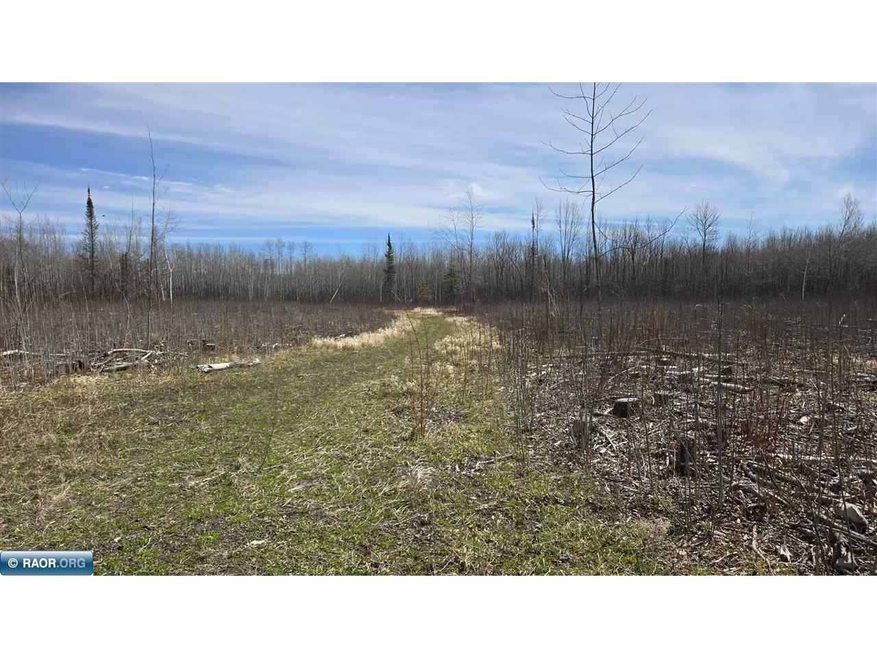 TBD 43 Lummi Rd Orr MN 55771 149952 image26