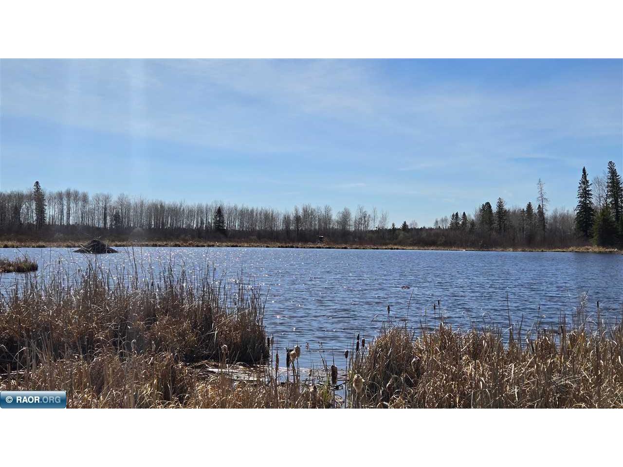 TBD 43 Lummi Rd Orr MN 55771 149952 image4