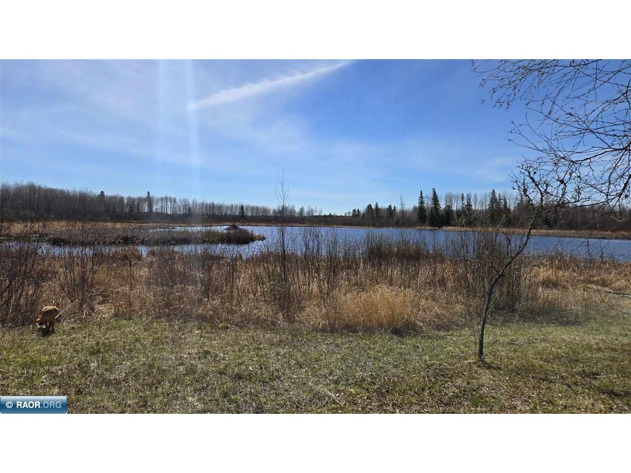 TBD 43 Lummi Rd Orr MN 55771 149952 image9