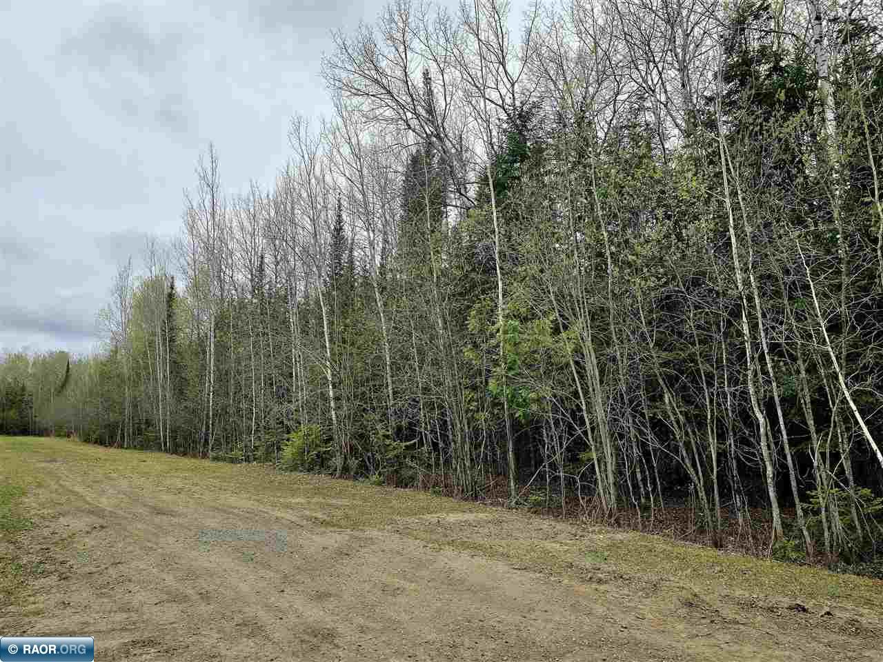 TBD 4th Avenue 22nd Street International Falls MN 56649 149666 image1