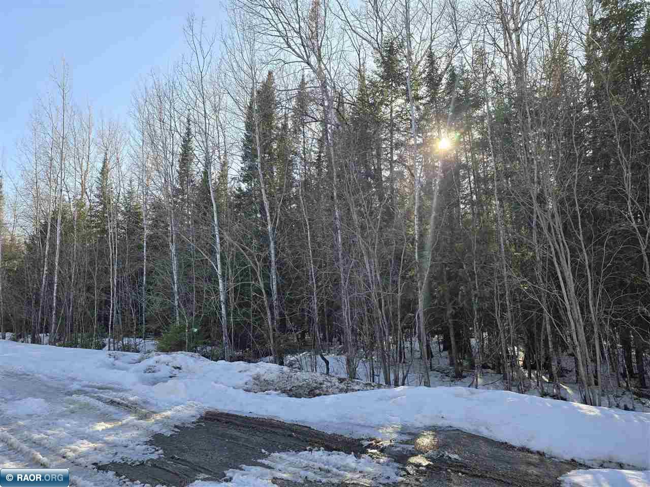 TBD 4th Avenue 22nd Street International Falls MN 56649 149666 image4