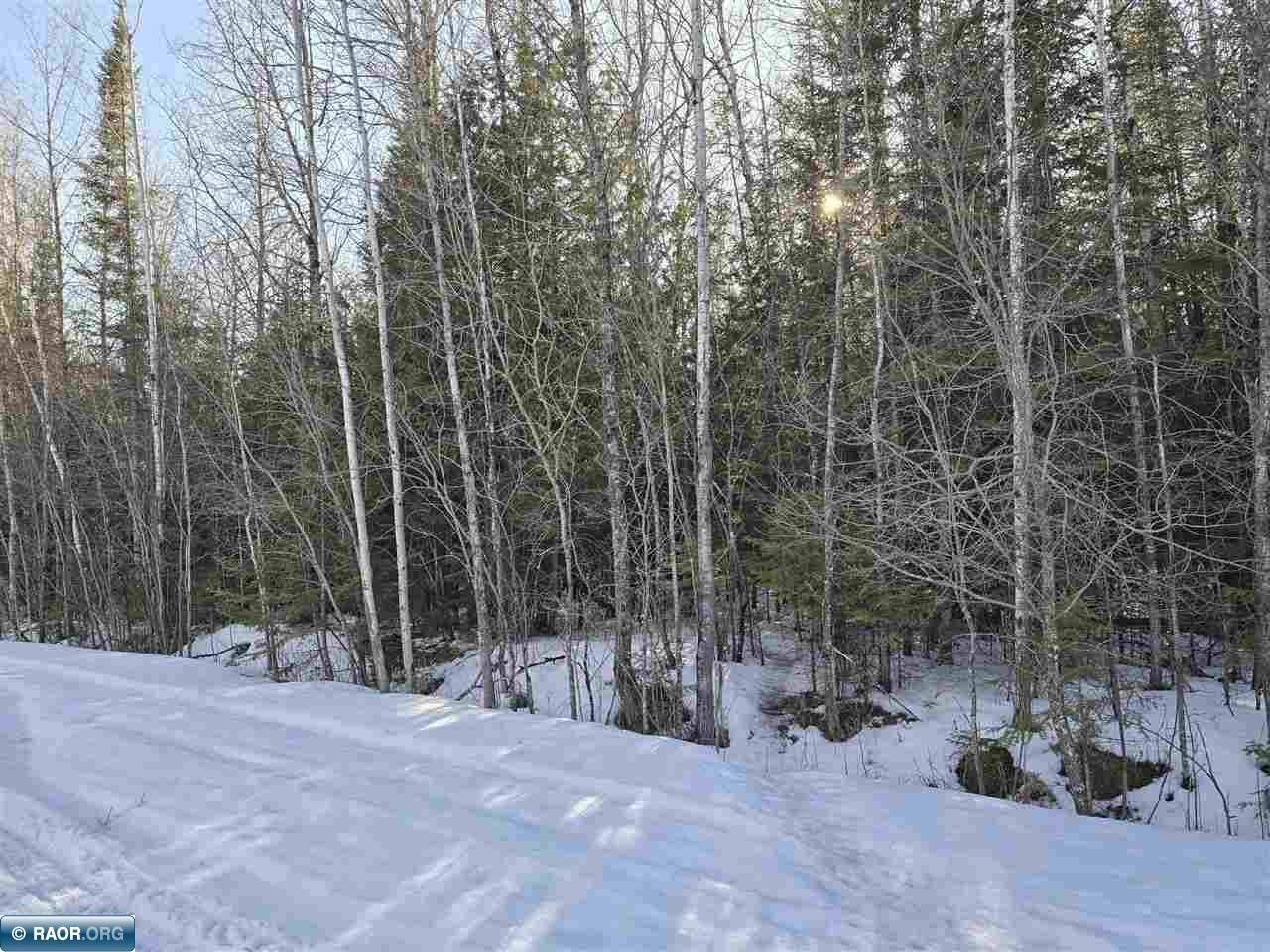 TBD 4th Avenue 22nd Street International Falls MN 56649 149666 image5