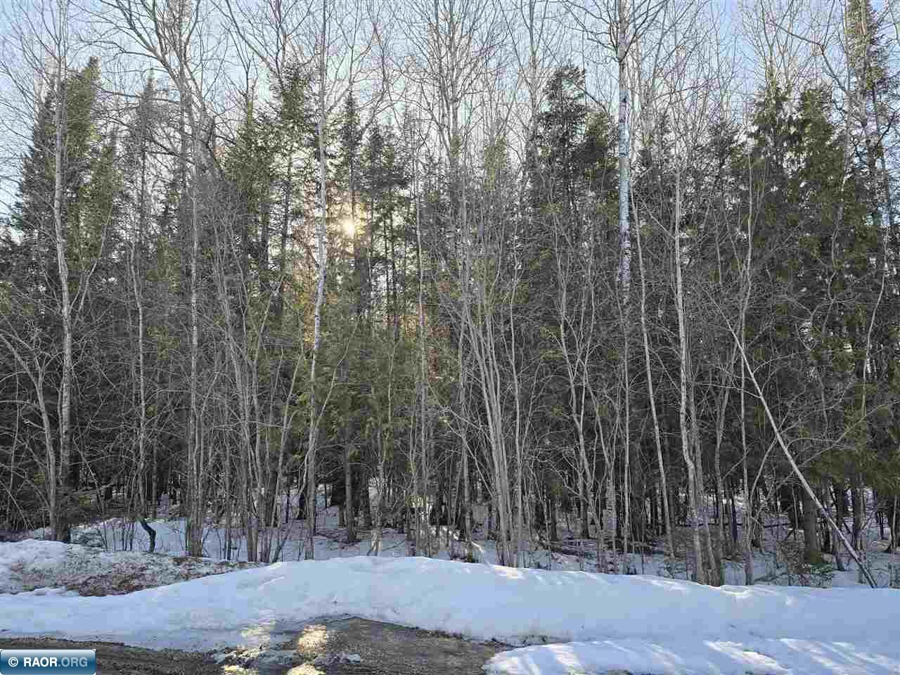 TBD 4th Avenue 22nd Street International Falls MN 56649 149666 image6