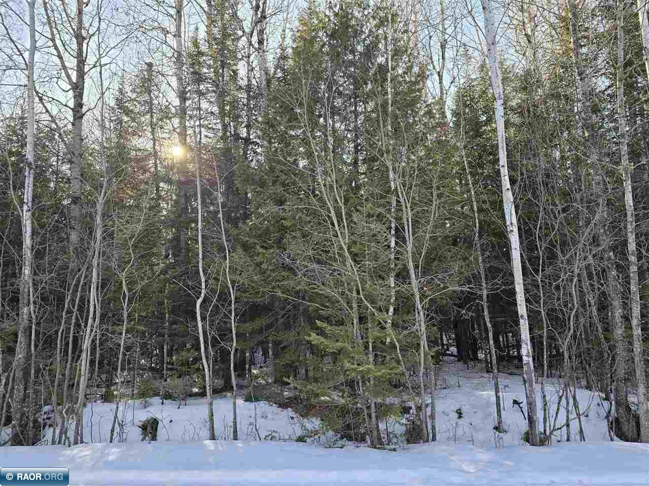 TBD 4th Avenue 22nd Street International Falls MN 56649 149666 image7