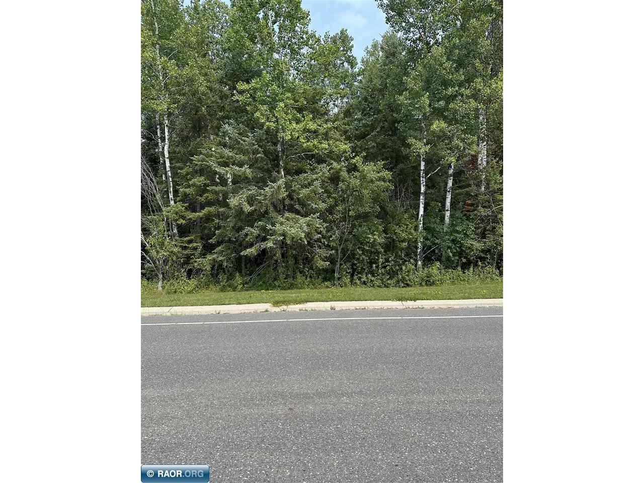 TBD 7 Acres County Road 107 International Falls MN 56649 149051 image1