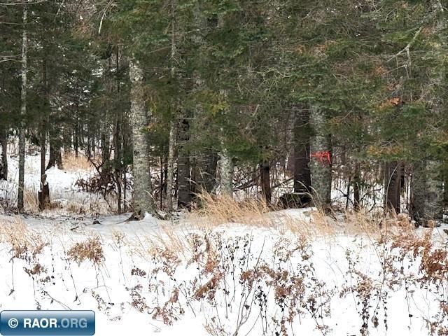 TBD Arkola Road Cotton MN 55724 - White Face 149356 image1
