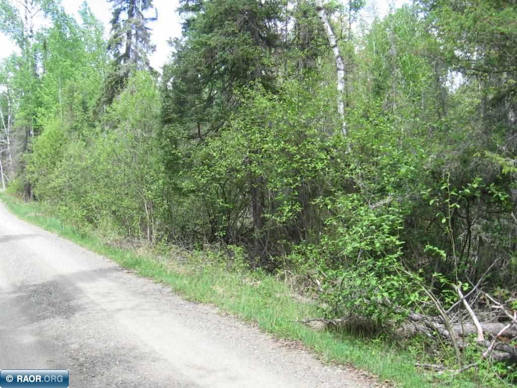 TBD Black Bear Tr Ely MN 55731 148385 image1