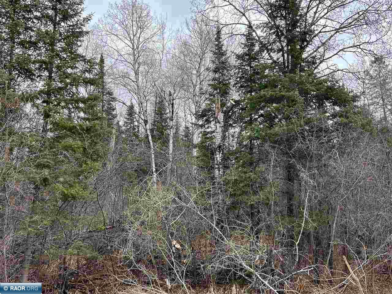 TBD Butler Rd Mt Iron MN 55751 146551 image1