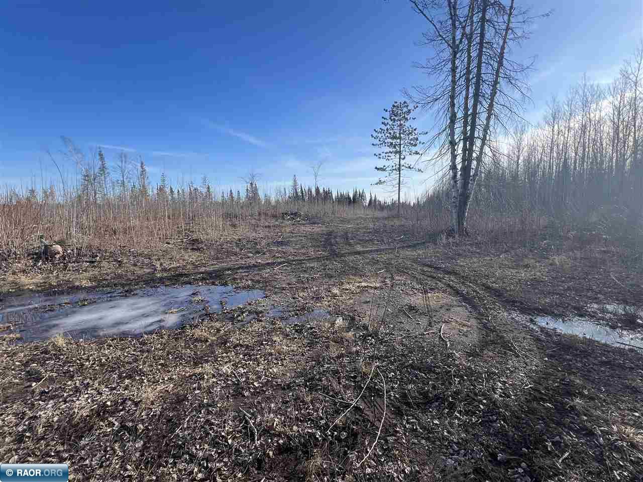 TBD Central Lakes Rd Eveleth MN 55734 146313 image1