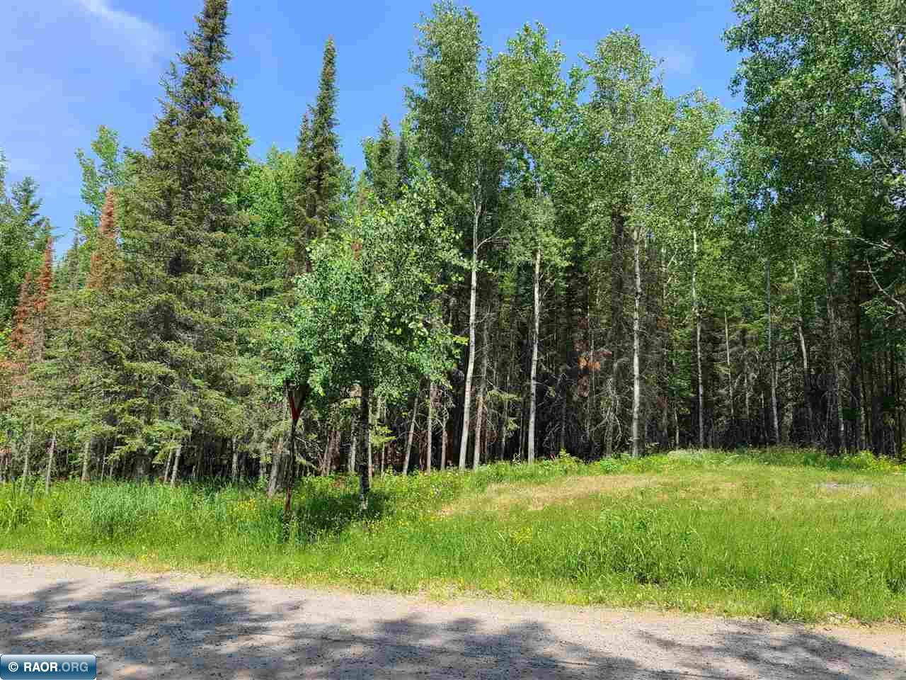 TBD County Rd 138 International Falls MN 56649 - Rainy 145262 image1