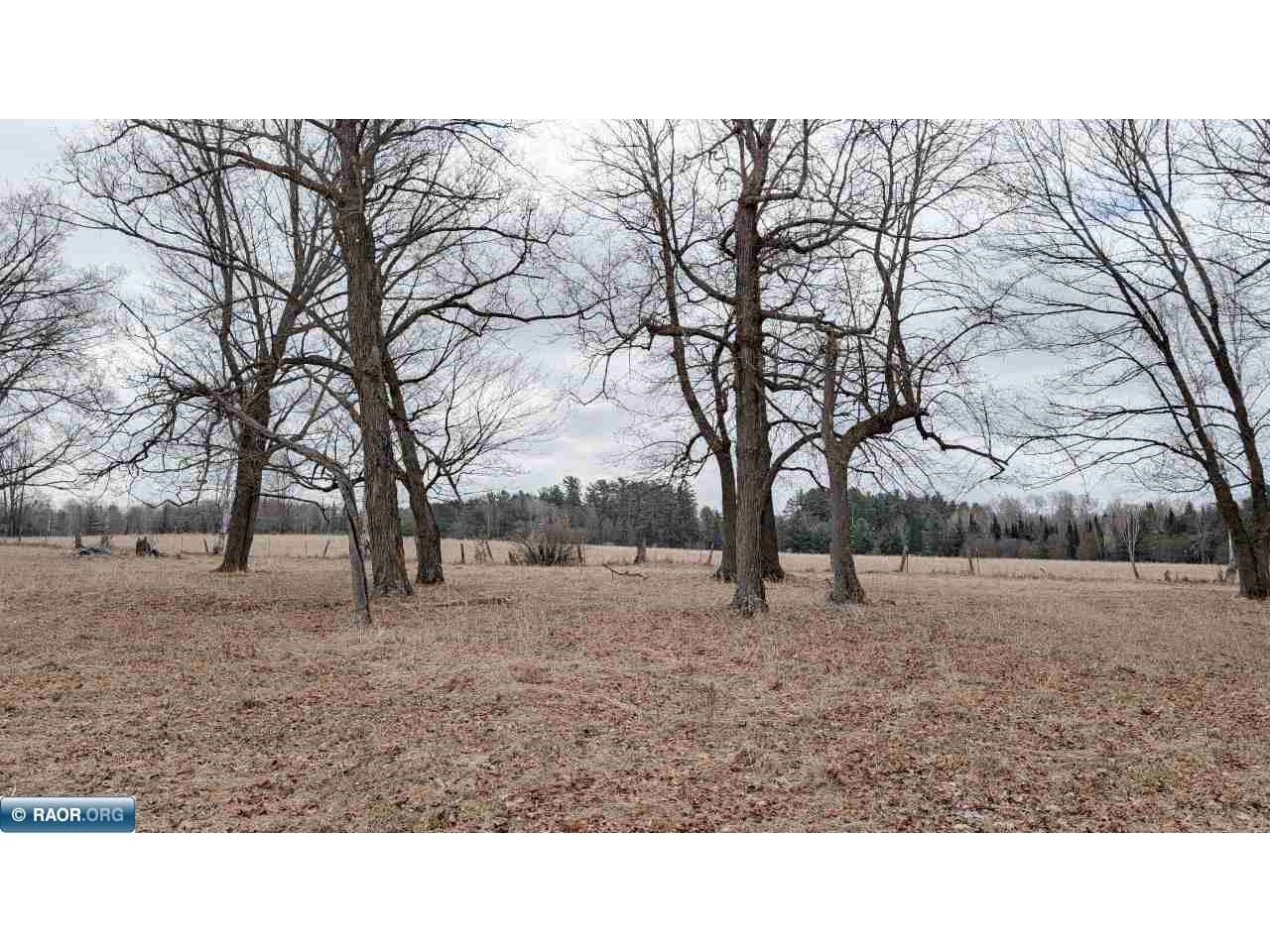 TBD County Rd. 453 Bovey MN 55790 - Blackberry 149780 image10
