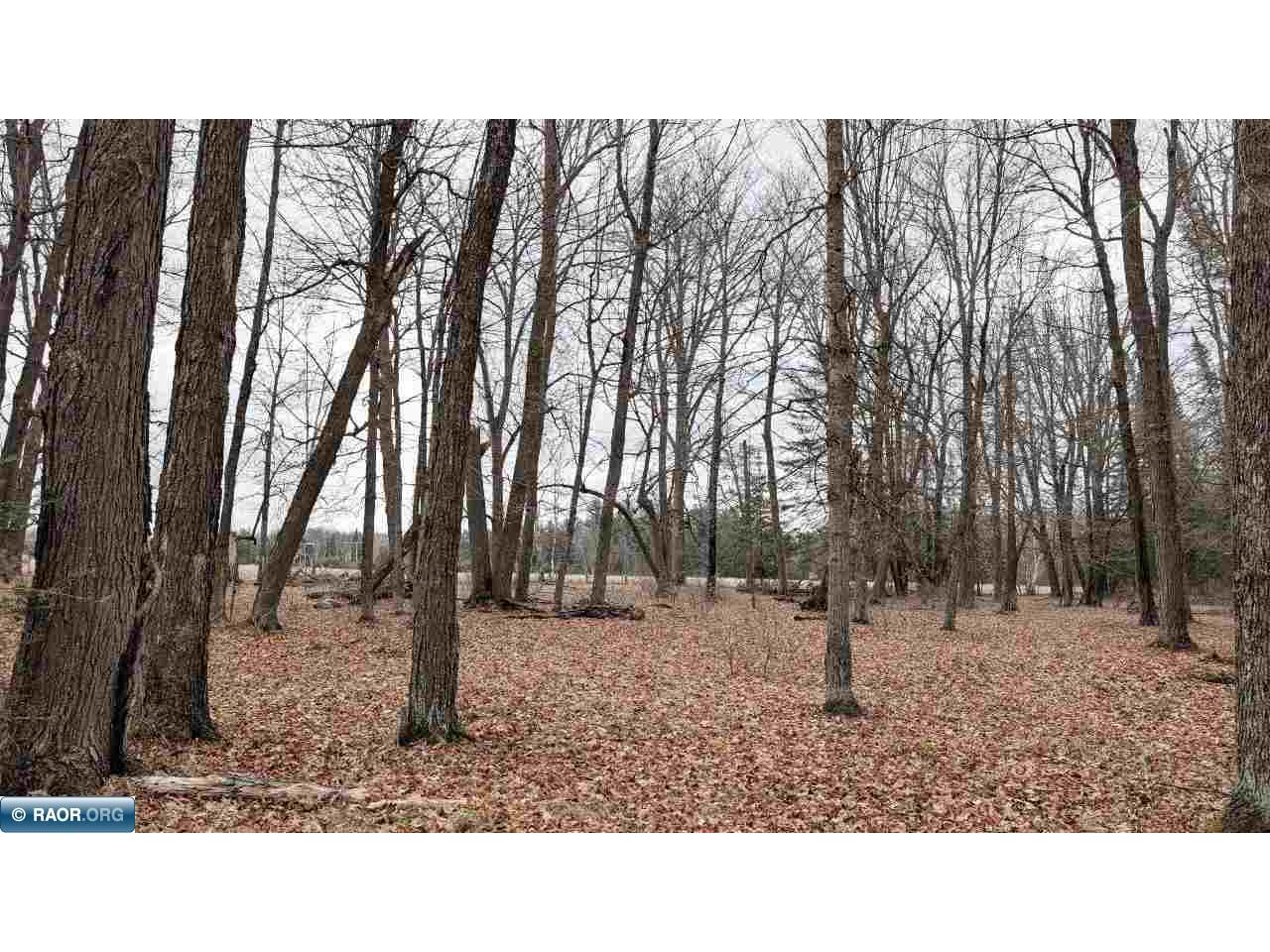 TBD County Rd. 453 Bovey MN 55790 - Blackberry 149780 image11