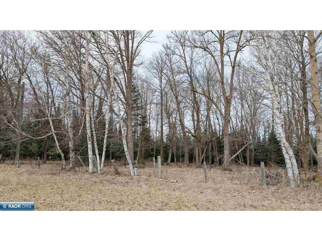TBD County Rd. 453 Bovey MN 55790 - Blackberry 149780 image12