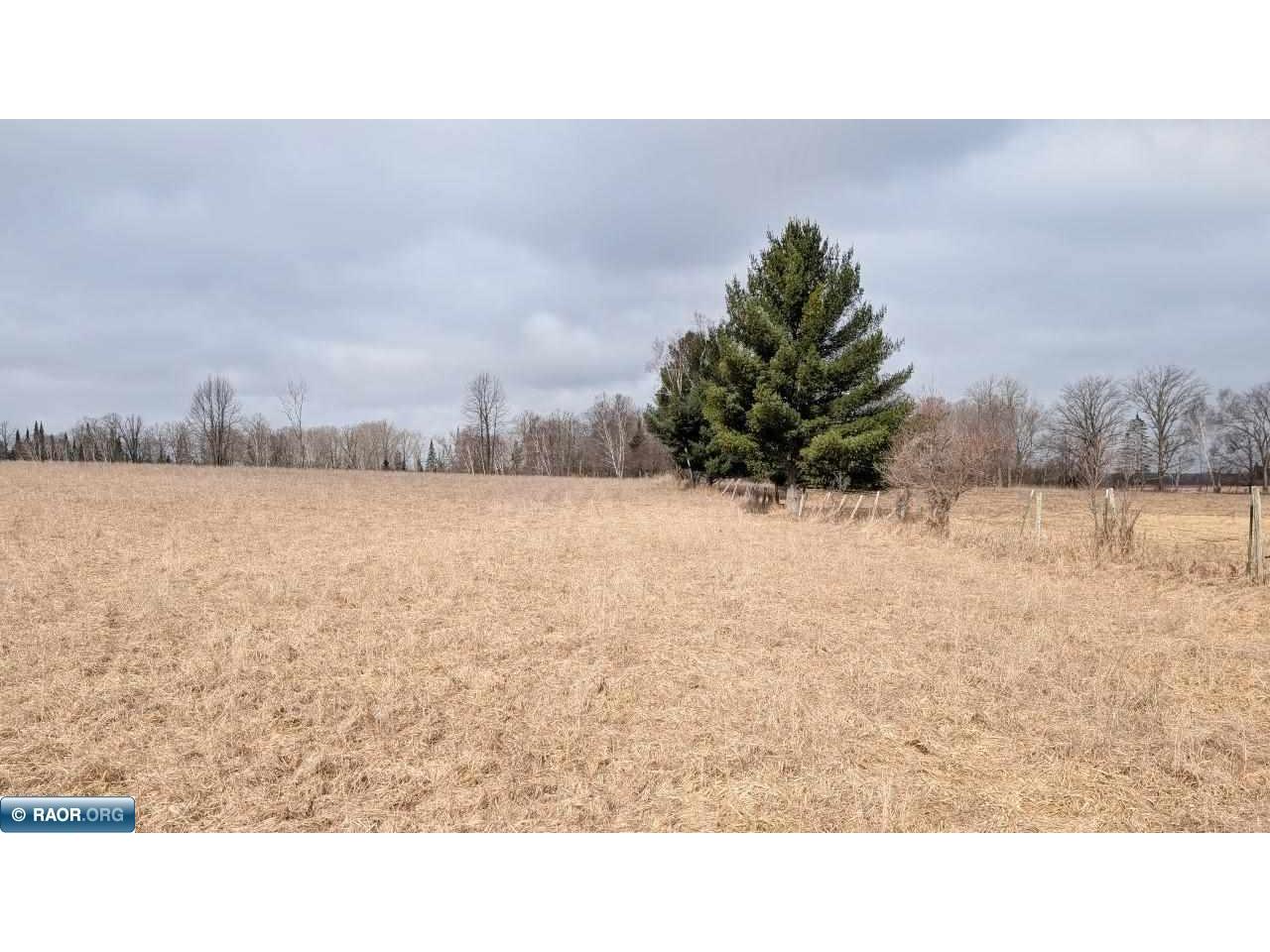 TBD County Rd. 453 Bovey MN 55790 - Blackberry 149780 image13