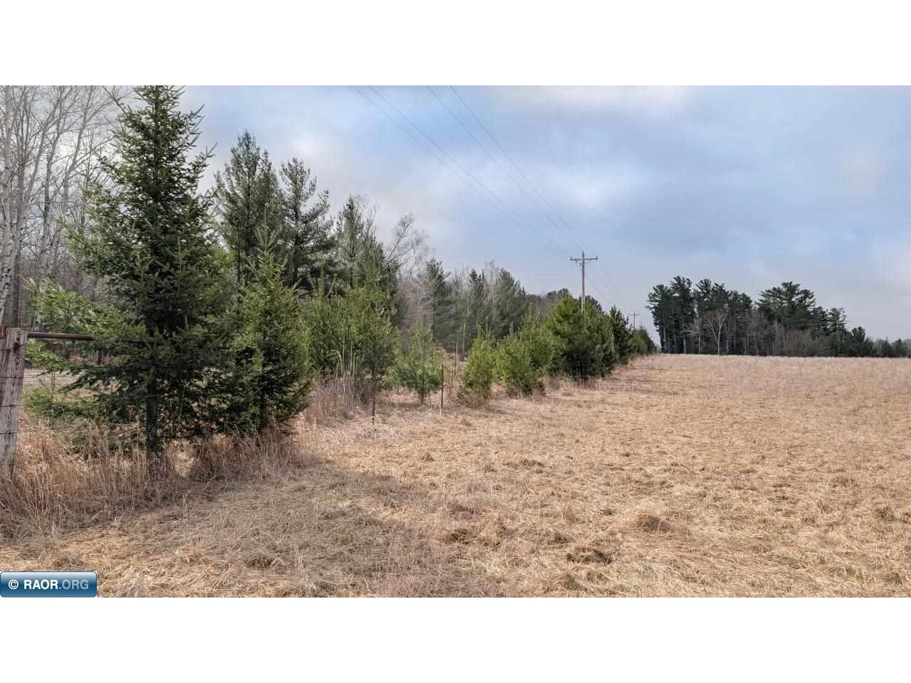 TBD County Rd. 453 Bovey MN 55790 - Blackberry 149780 image2