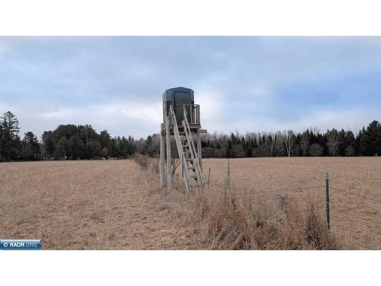 TBD County Rd. 453 Bovey MN 55790 - Blackberry 149780 image3
