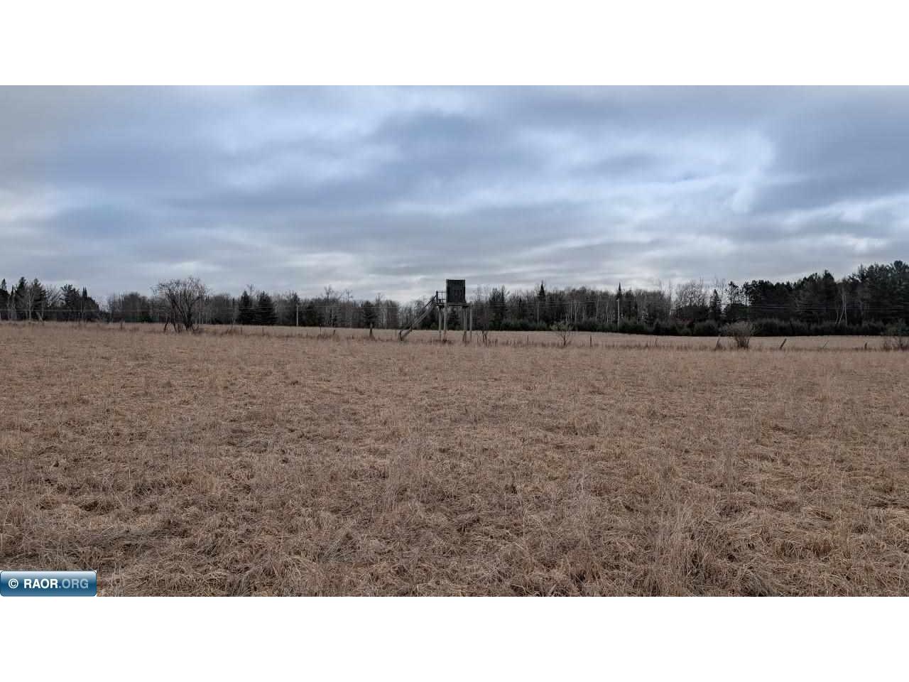 TBD County Rd. 453 Bovey MN 55790 - Blackberry 149780 image4
