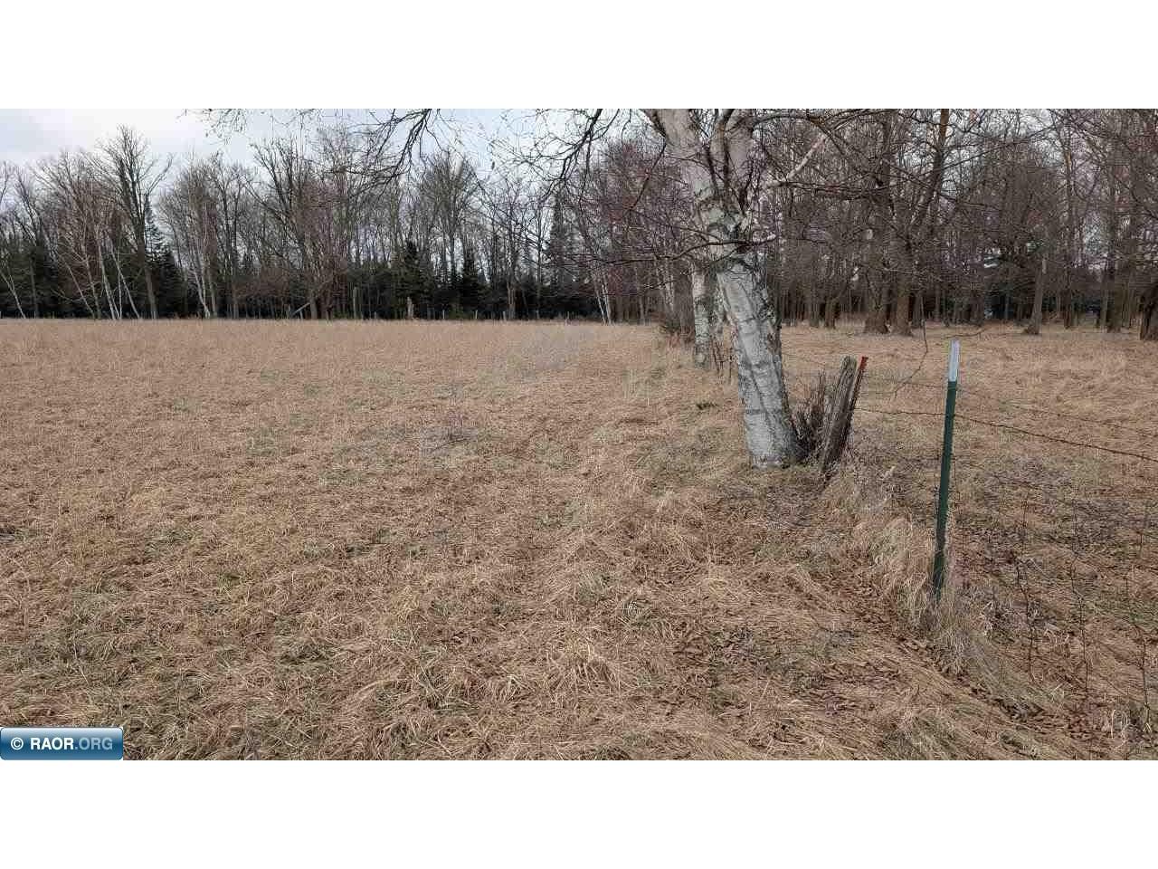 TBD County Rd. 453 Bovey MN 55790 - Blackberry 149780 image5