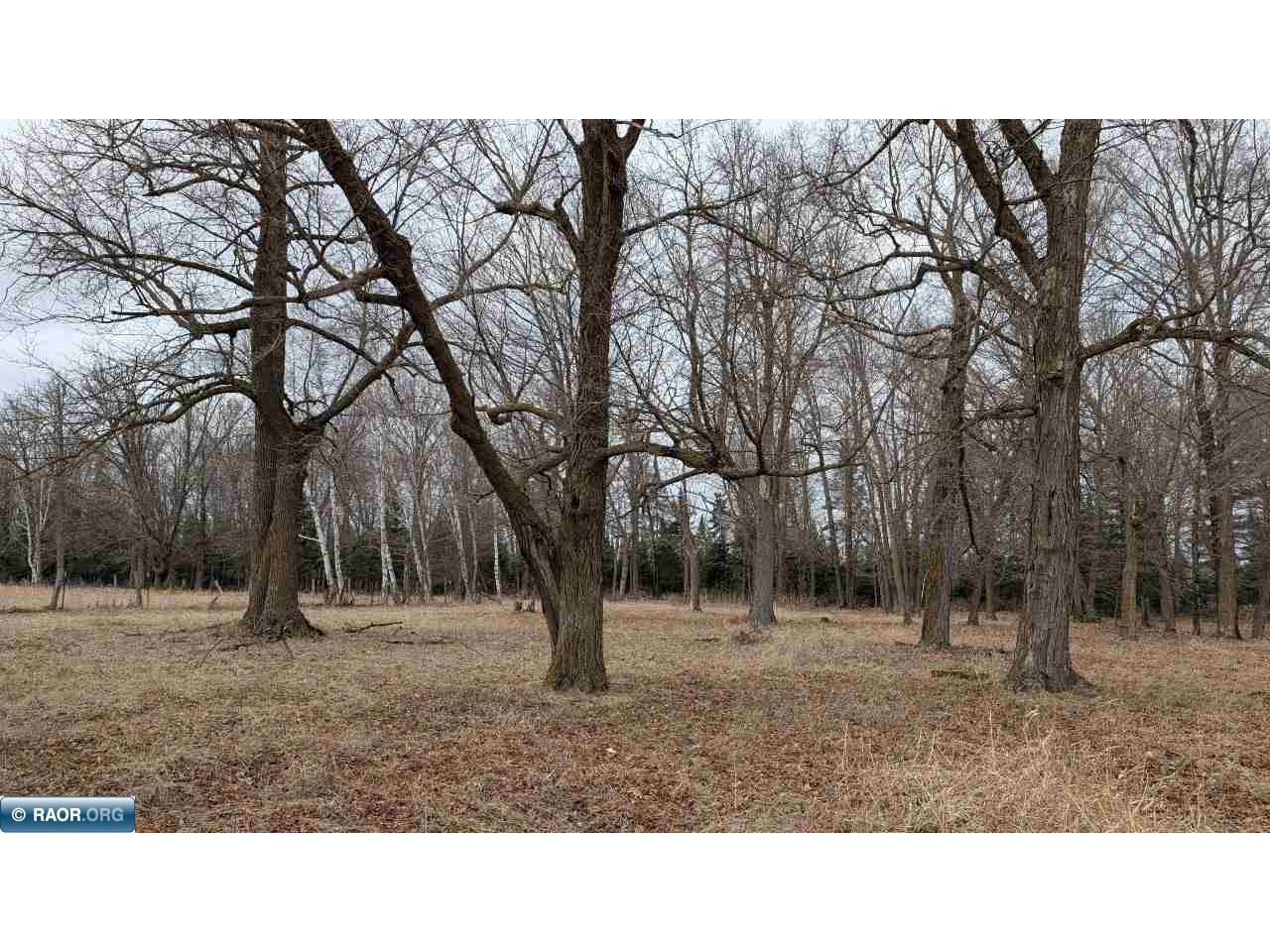 TBD County Rd. 453 Bovey MN 55790 - Blackberry 149780 image6