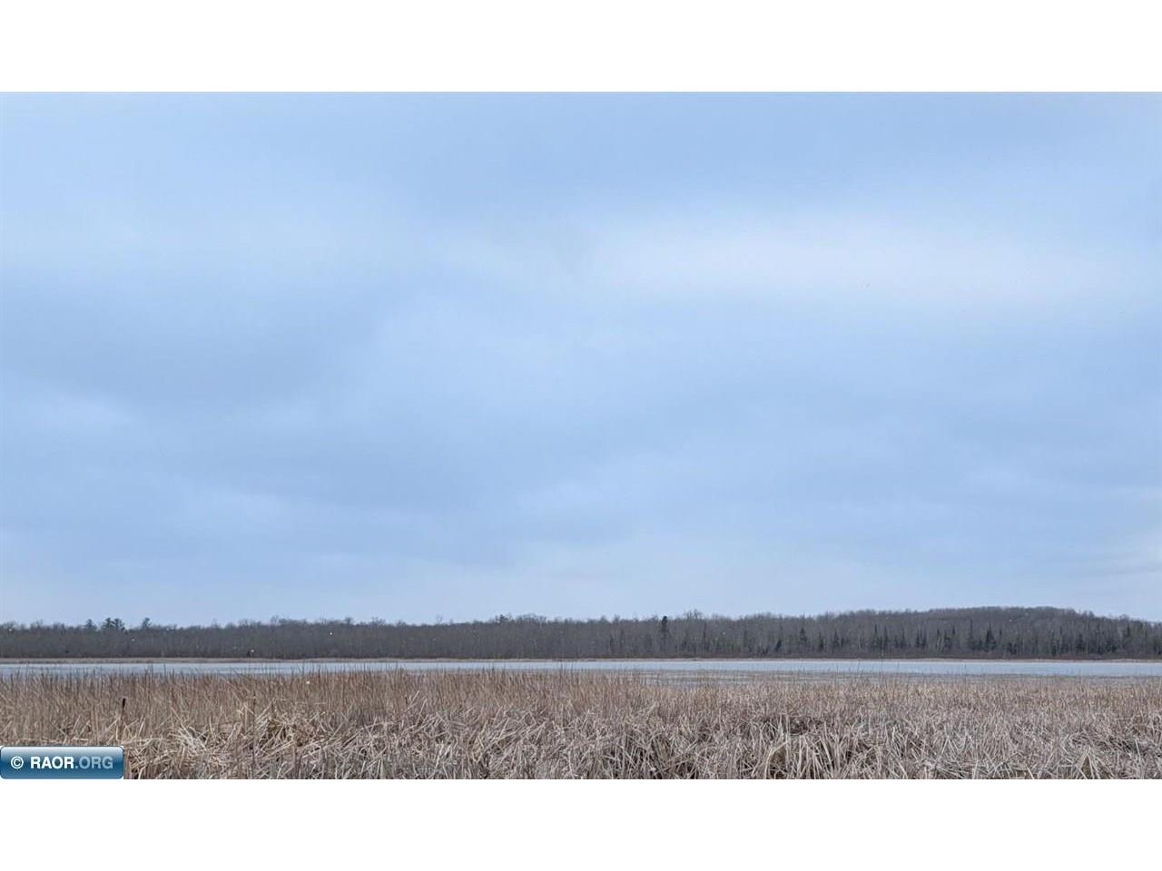 TBD County Rd. 453 Bovey MN 55790 - Blackberry 149780 image7