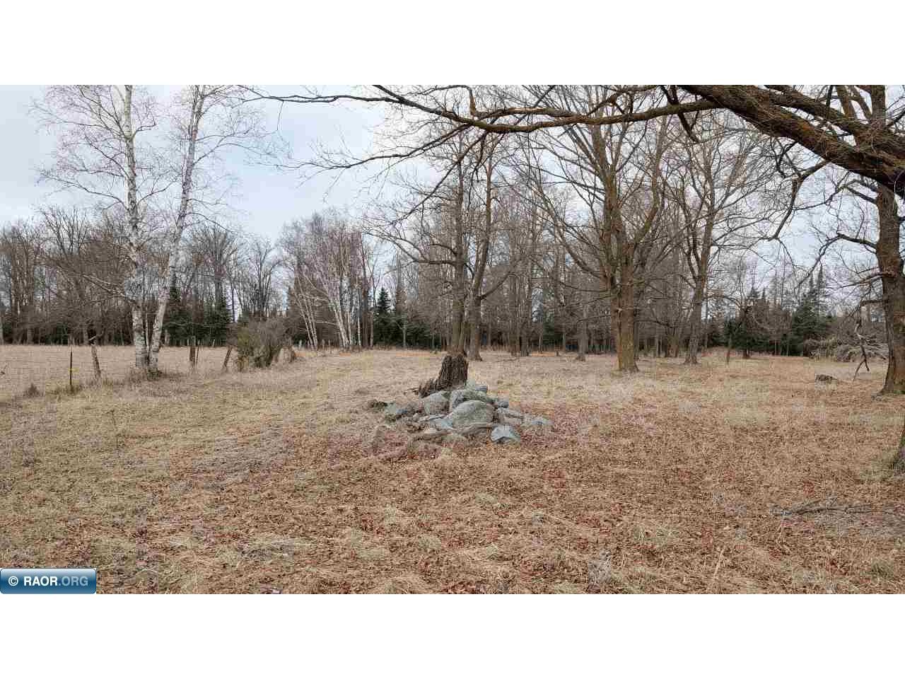 TBD County Rd. 453 Bovey MN 55790 - Blackberry 149780 image8