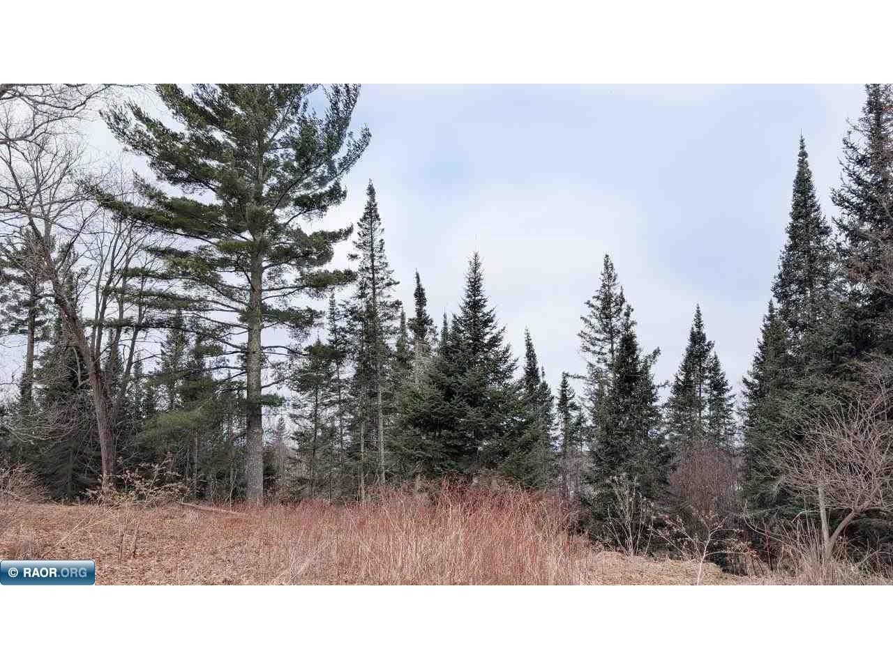 TBD County Rd. 453 Bovey MN 55790 - Blackberry 149780 image9