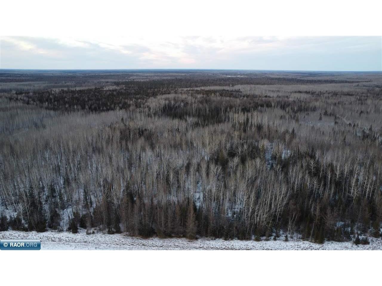 TBD County Road 77 Littlefork MN 56653 146299 image1