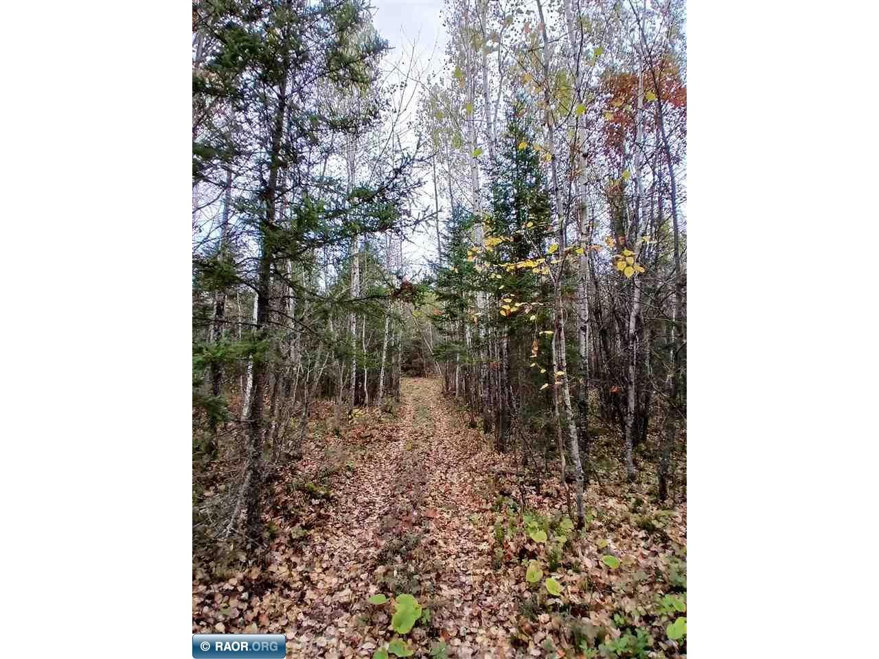 TBD Echo Tr Orr MN 55771 149397 image28