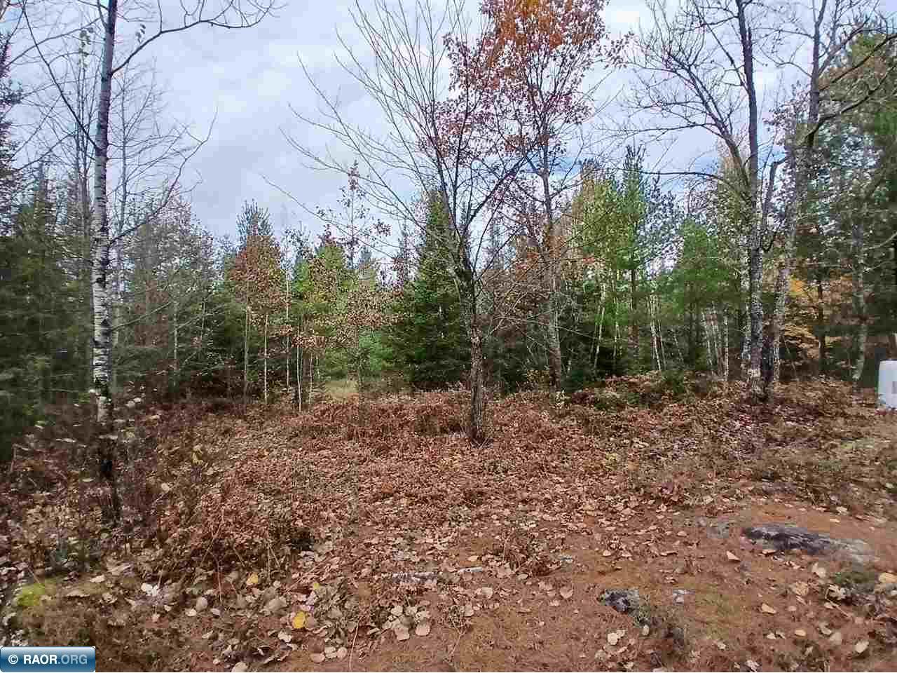 TBD Echo Tr Orr MN 55771 149397 image5