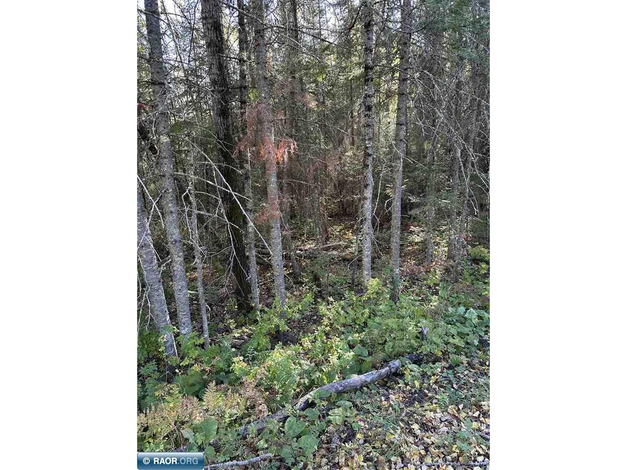 TBD Gappa Road Land Kabetogama MN 56669 147580 image1