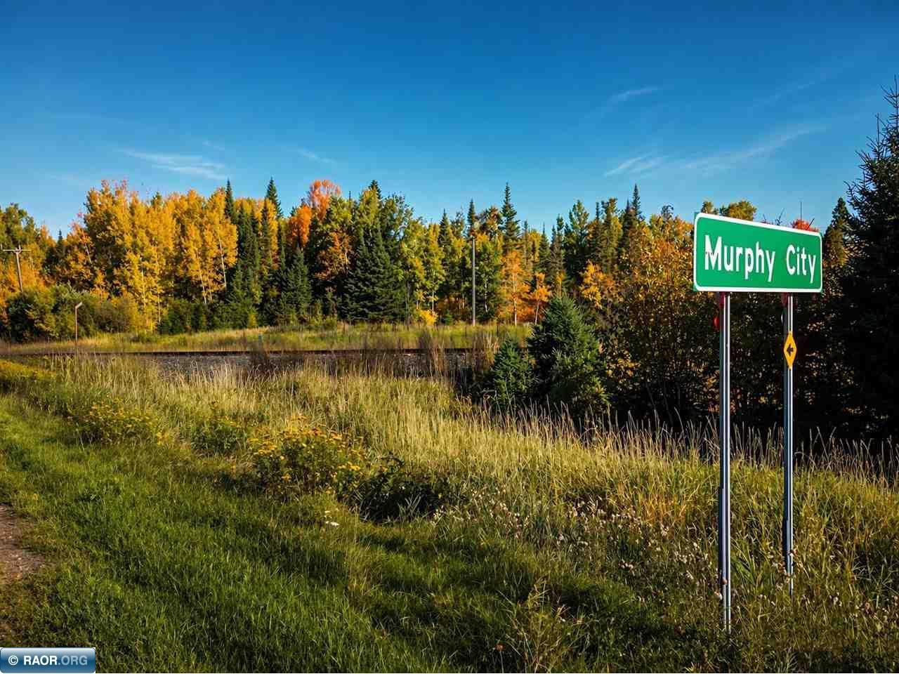 TBD HWY 1 Murphy City MN 55603 149111 image1