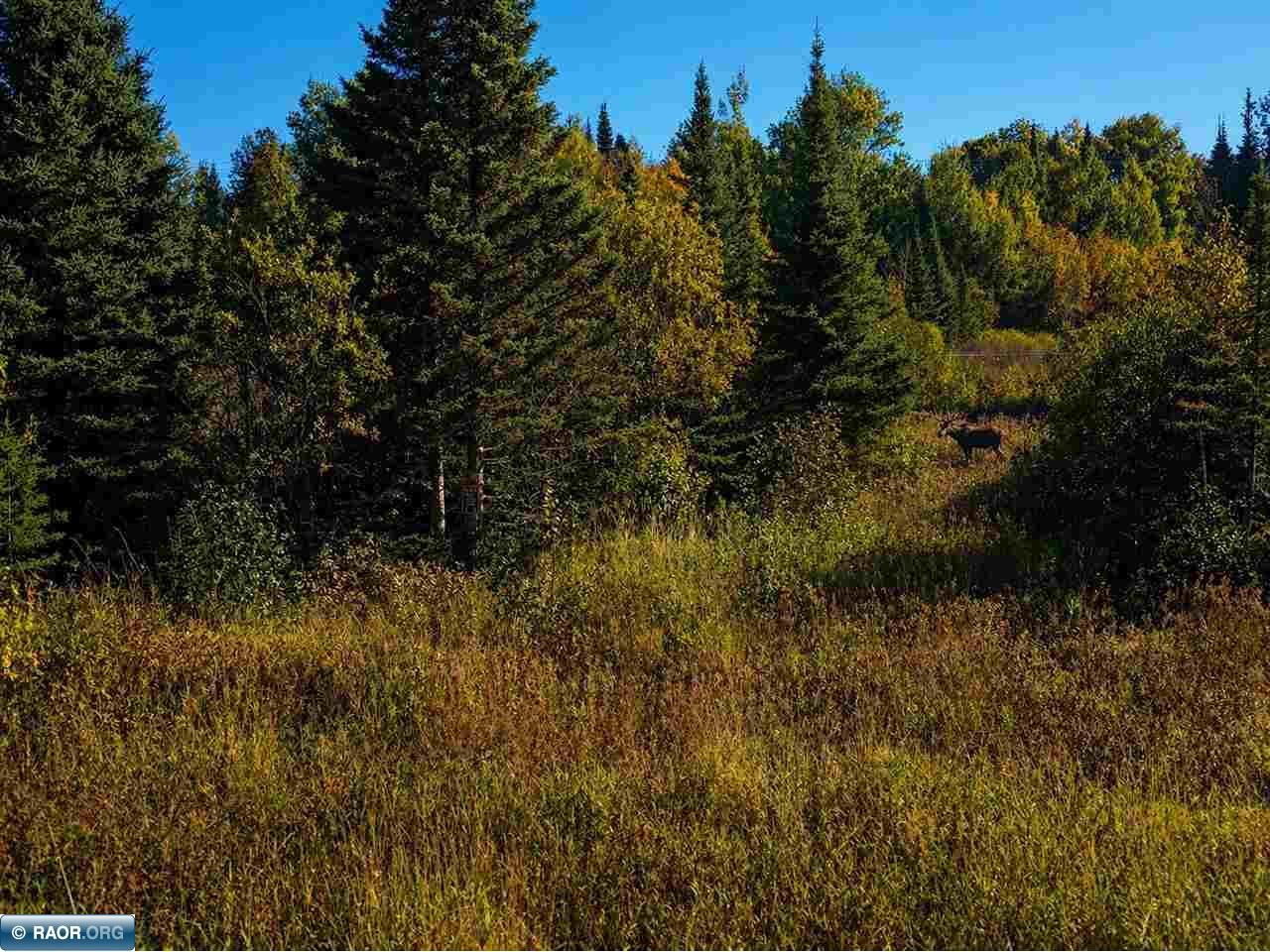 TBD HWY 1 Murphy City MN 55603 149111 image3