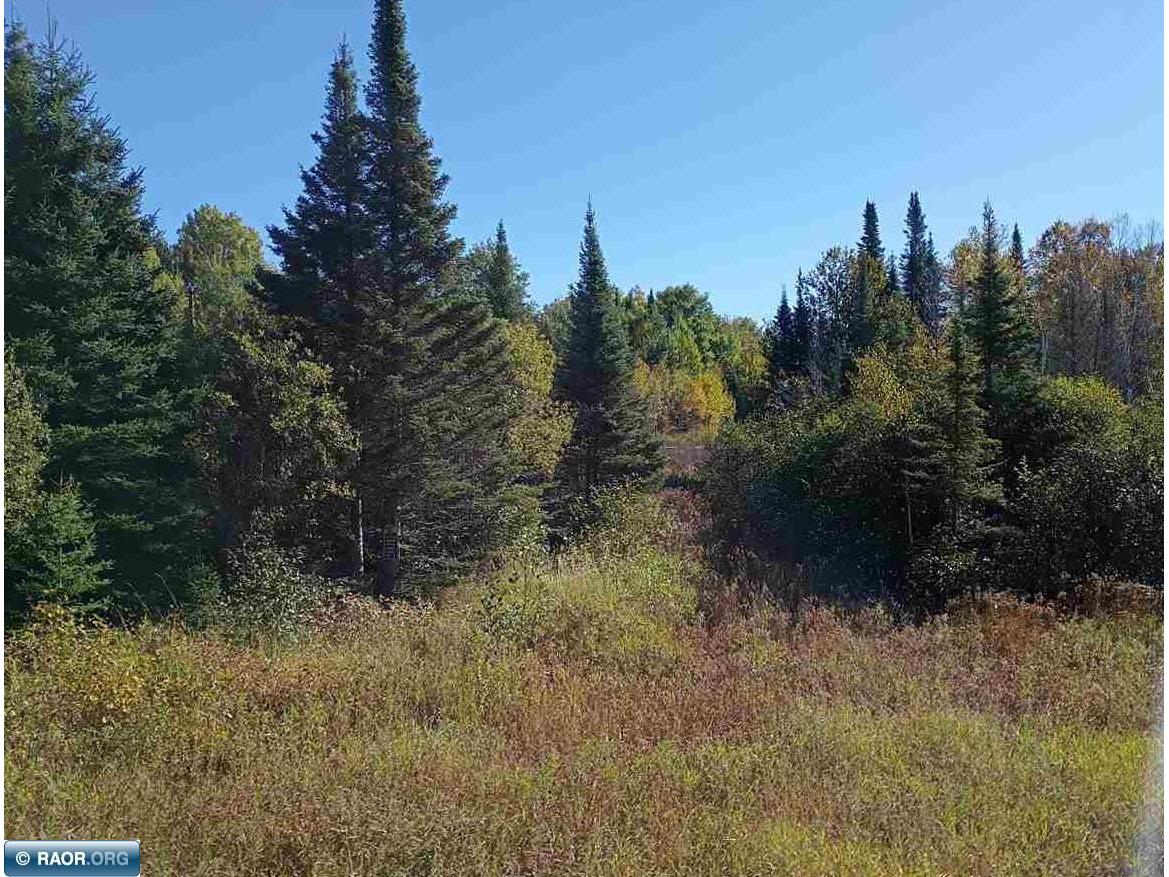 TBD HWY 1 Murphy City MN 55603 149111 image7