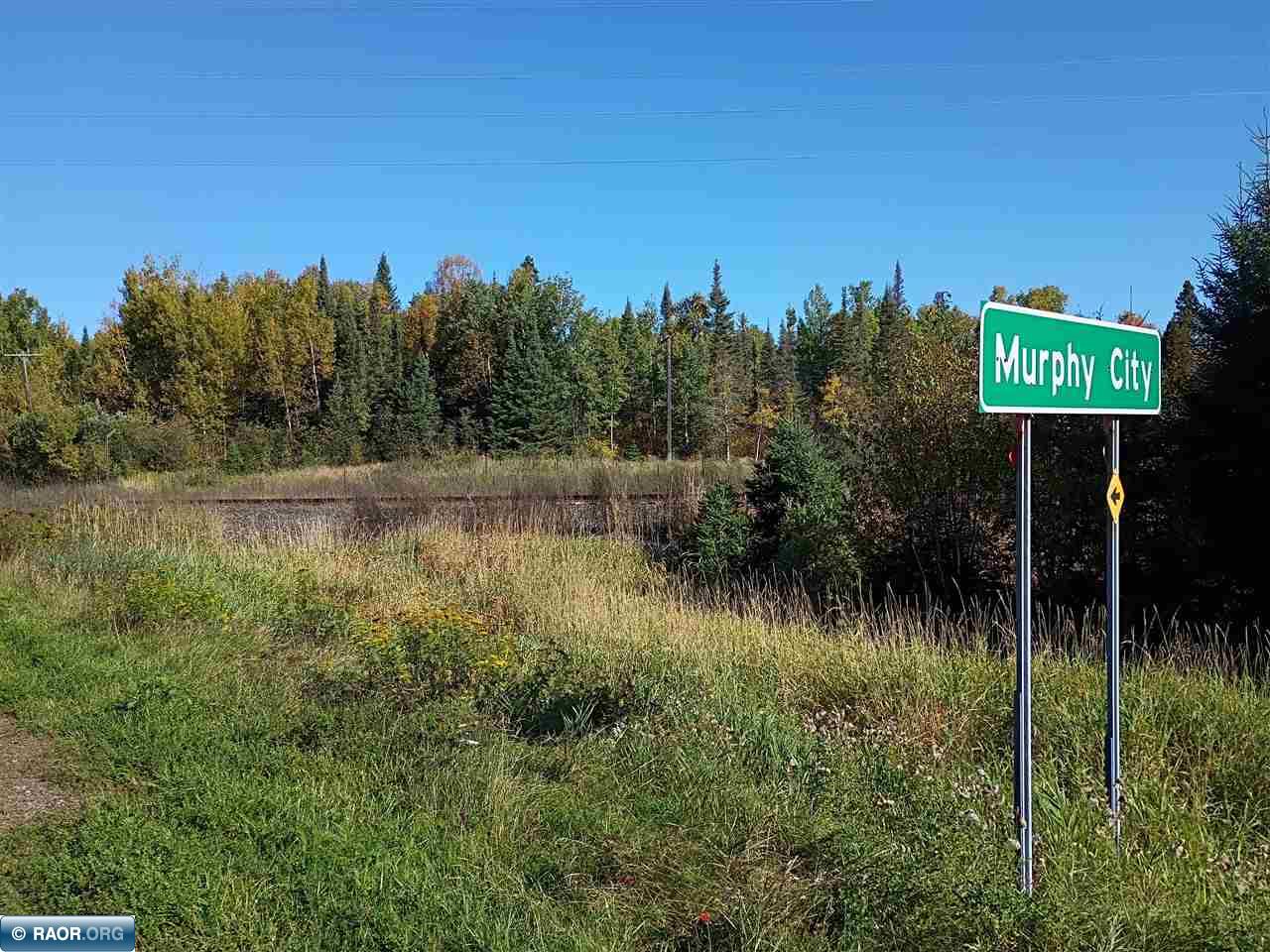 TBD HWY 1 Murphy City MN 55603 149111 image1