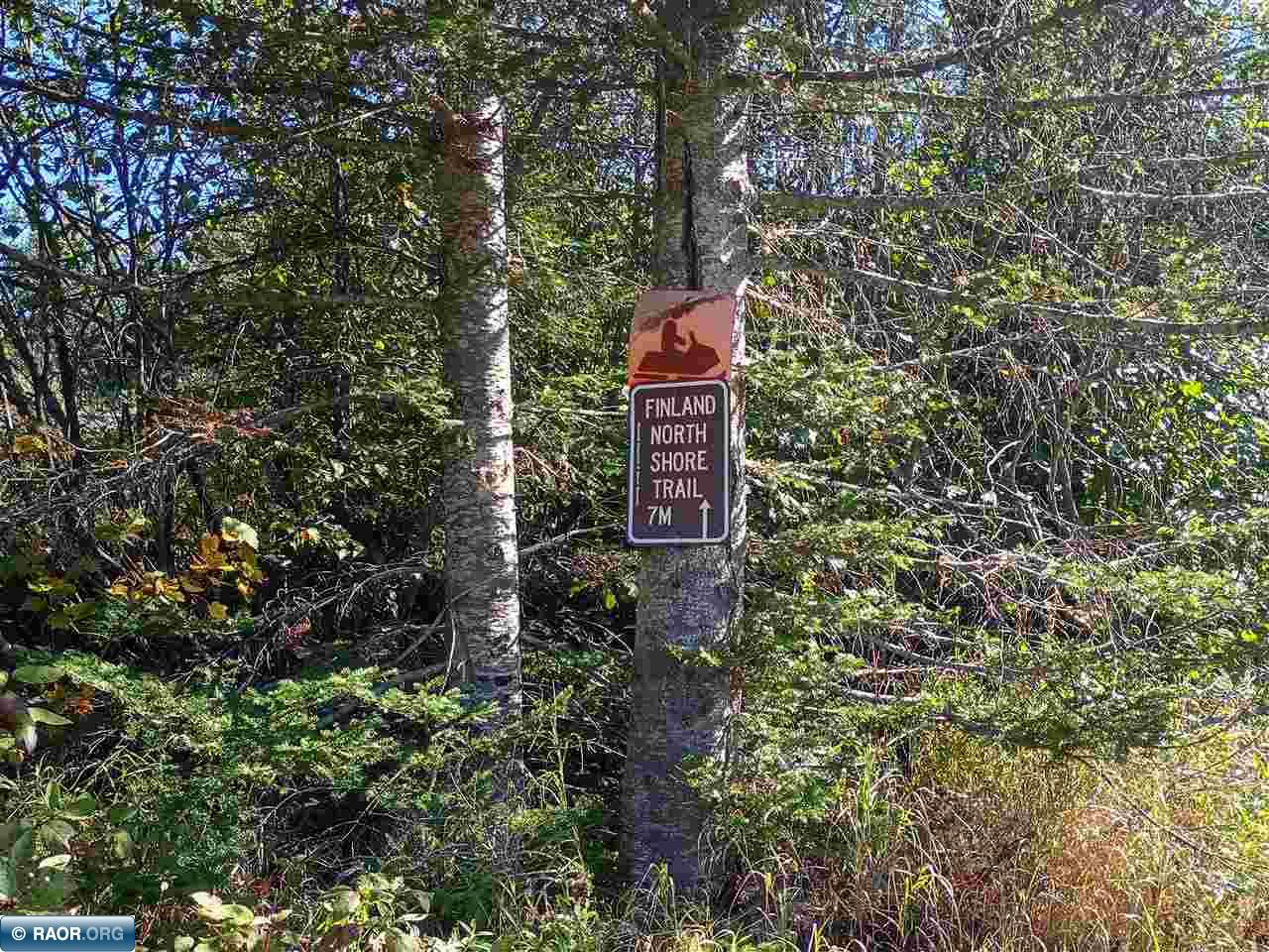 TBD HWY 1 Murphy City MN 55603 149111 image2