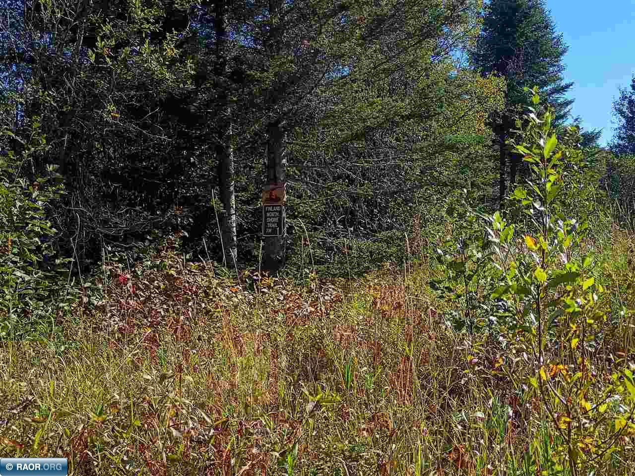 TBD HWY 1 Murphy City MN 55603 149111 image8