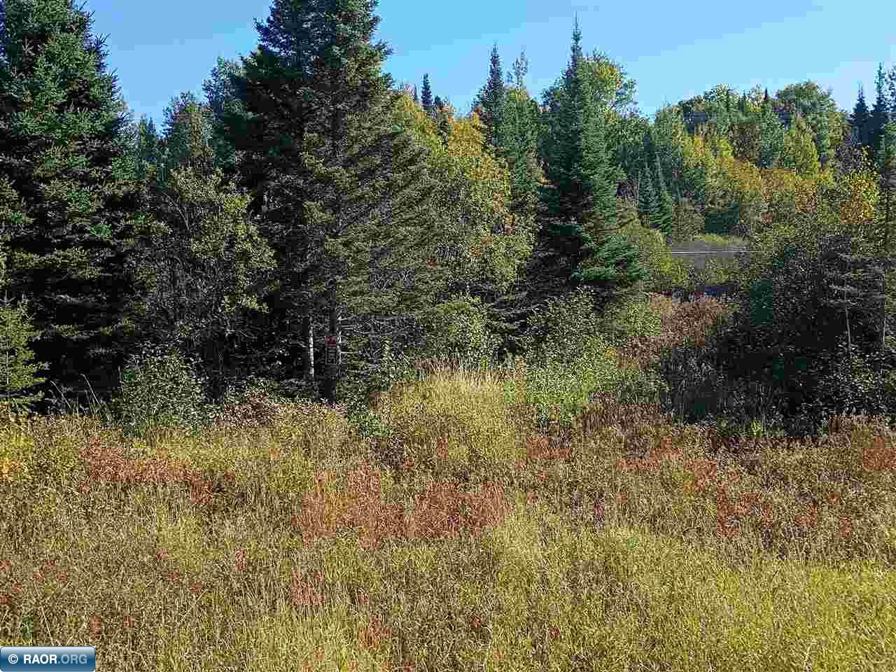 TBD HWY 1 Murphy City MN 55603 149111 image9