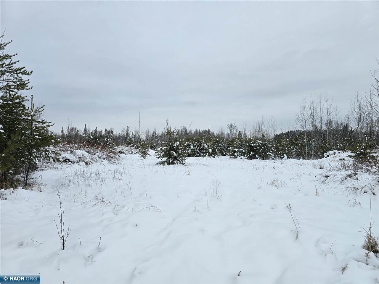 TBD Highway 37 Iron MN 55751 147792 image1