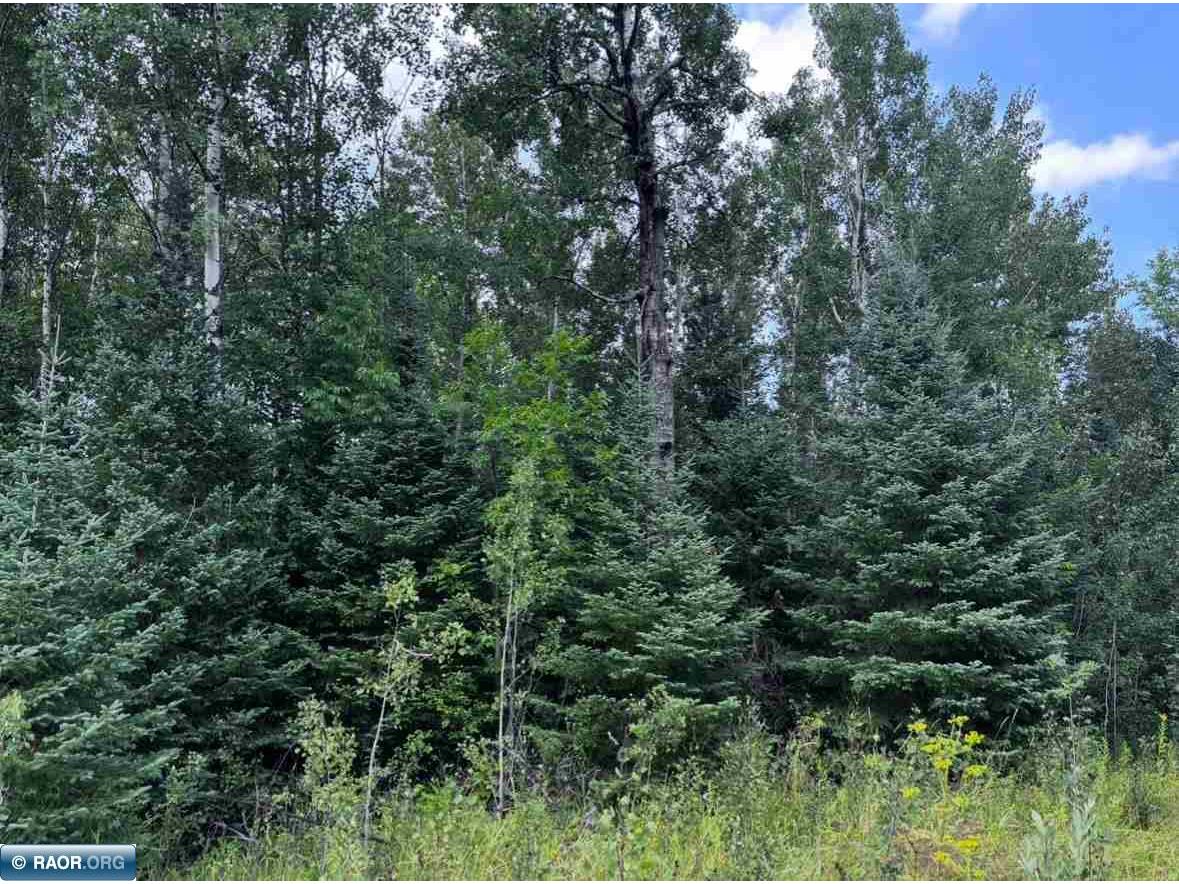 TBD Highway 71 Littlefork MN 56653 148809 image1