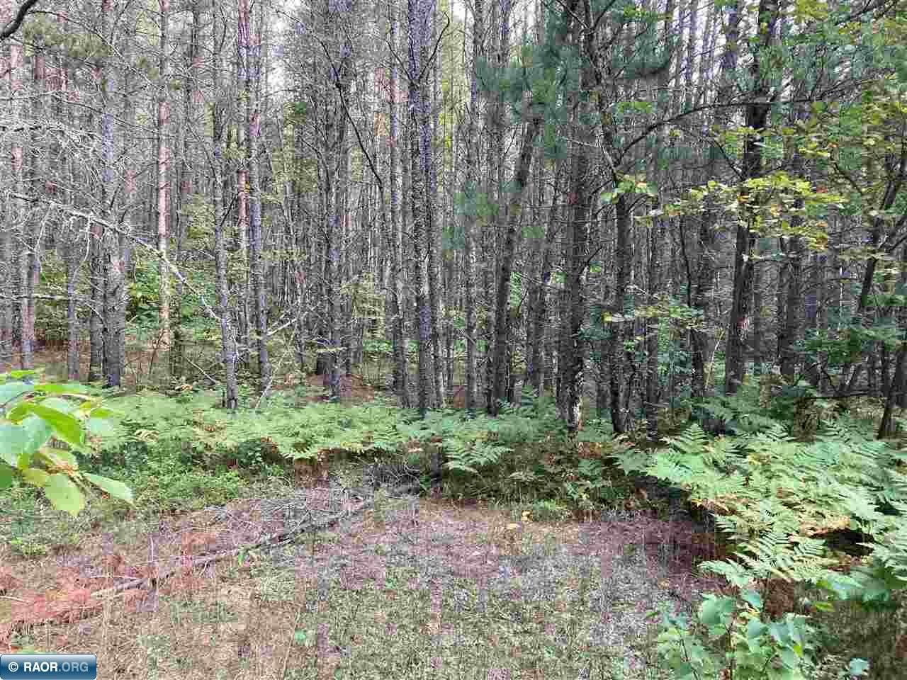 TBD Hoel Rd Gilbert MN 55741 - Eshquaguma River 149626 image5