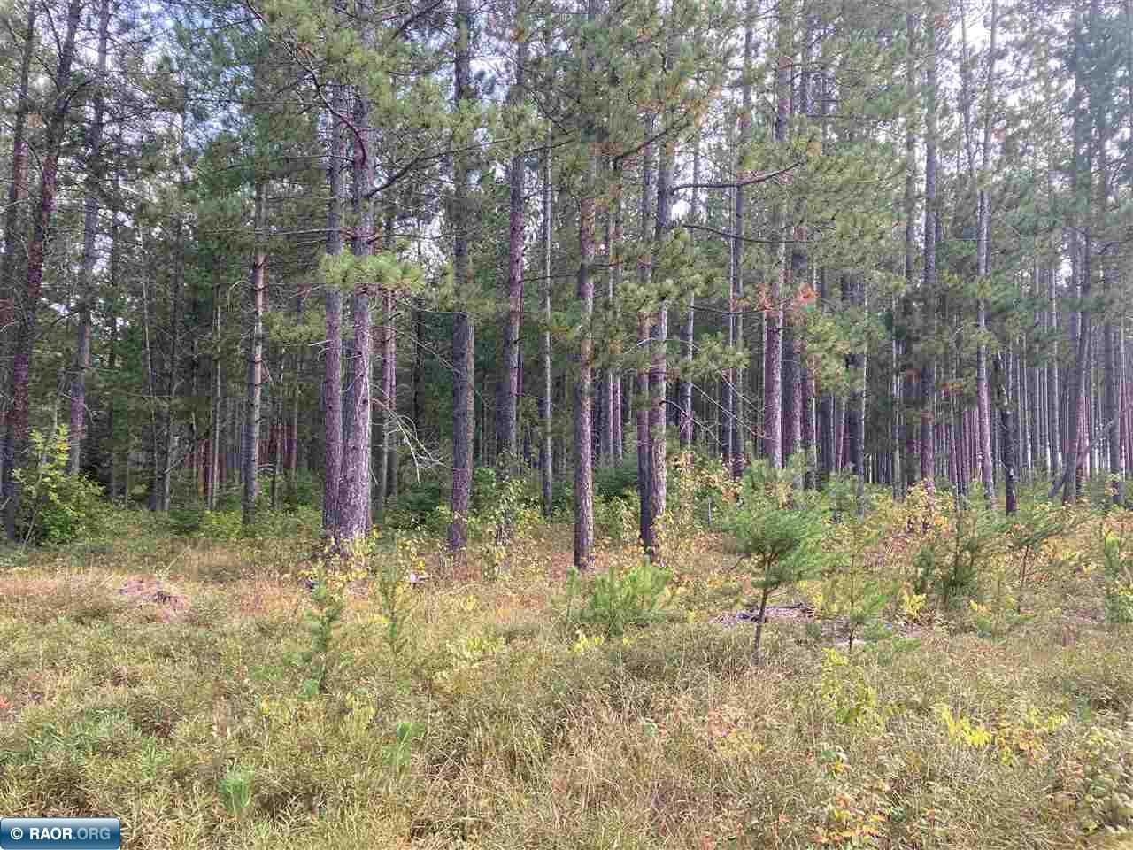 TBD Hoel Rd Gilbert MN 55741 - Eshquaguma River 149626 image6