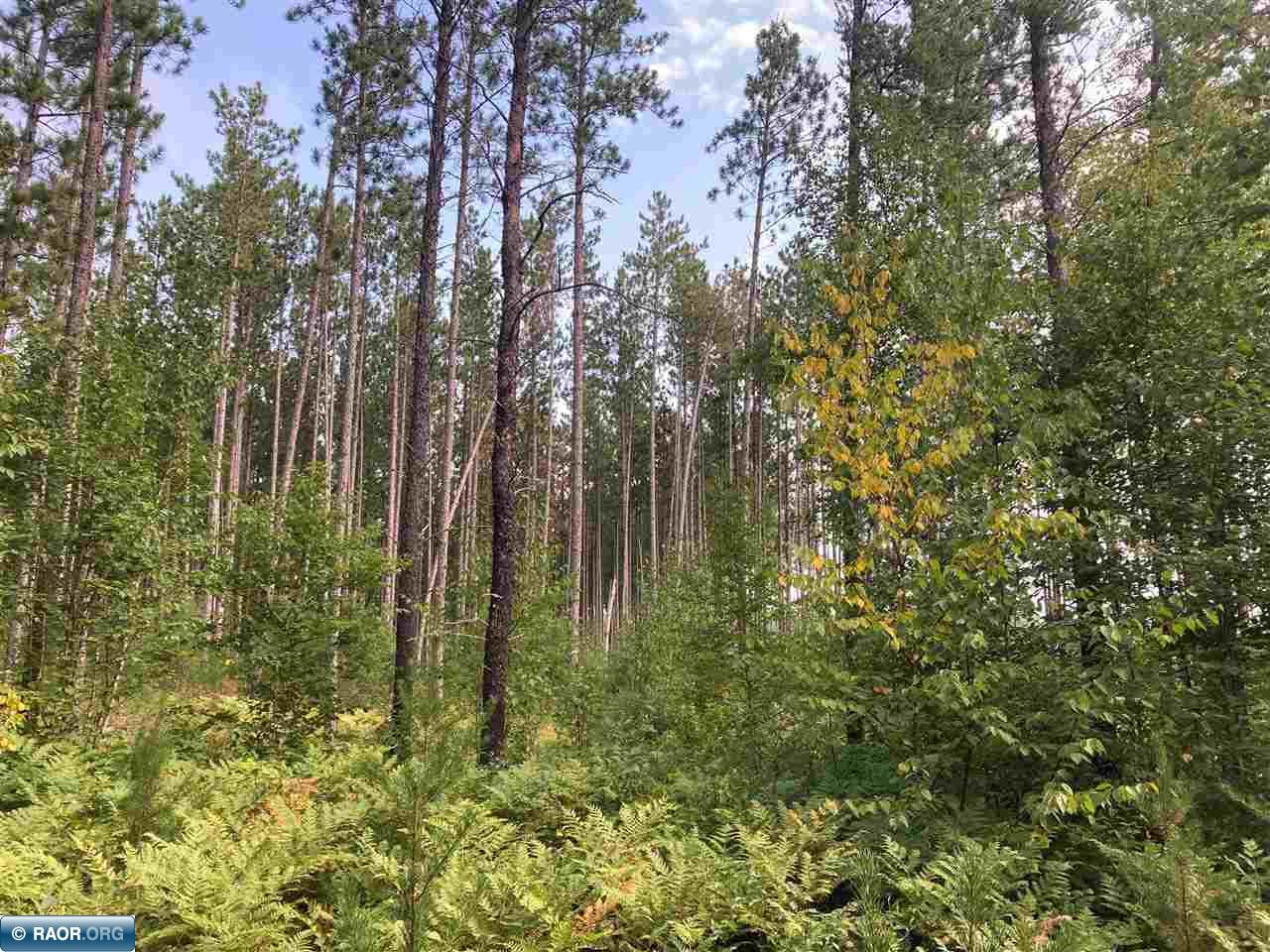 TBD Hoel Rd Gilbert MN 55741 - Eshquaguma River 149626 image8