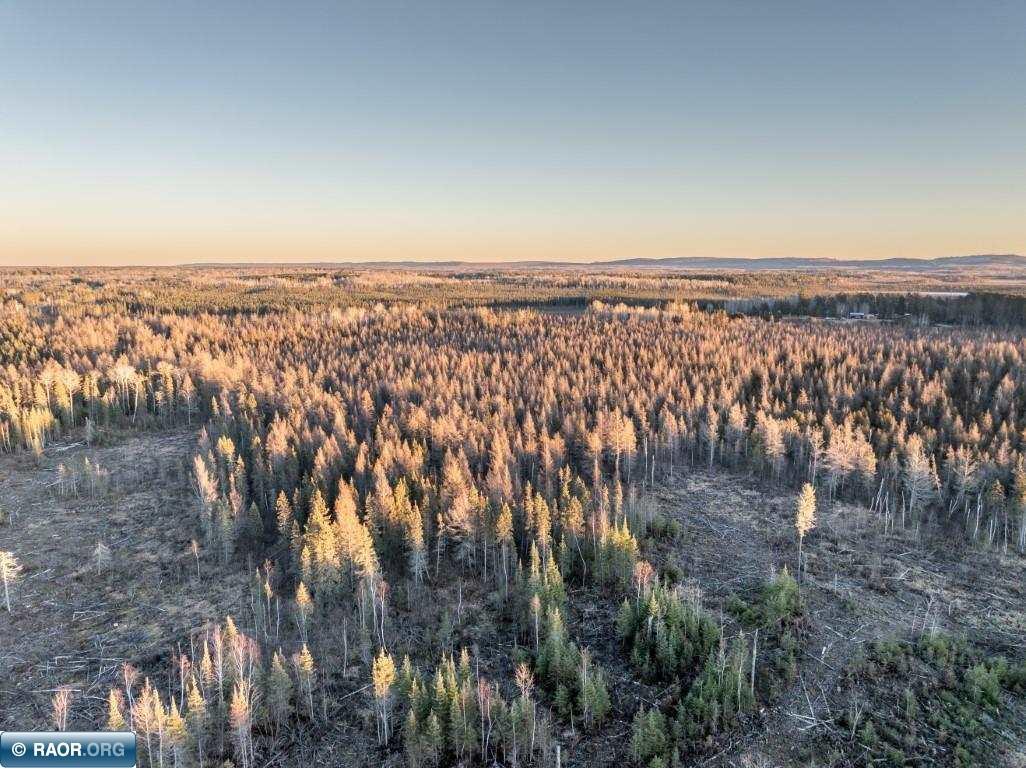 TBD Honkola Rd Embarrass MN 55732 146193 image1