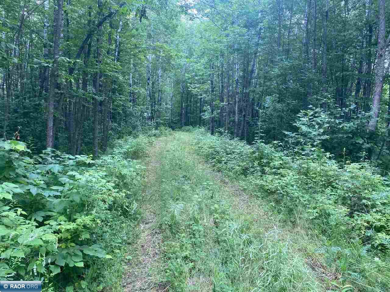 TBD Hwy 1 Tower MN 55790 - Pike River 148752 image10