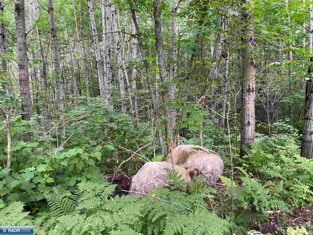 TBD Hwy 1 Tower MN 55790 - Pike River 148752 image11