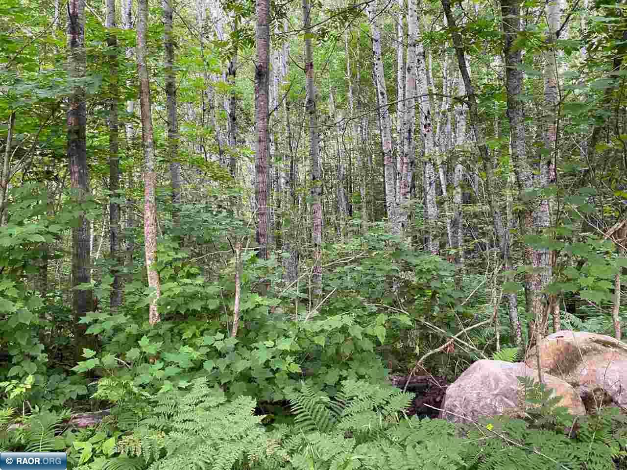 TBD Hwy 1 Tower MN 55790 - Pike River 148752 image12