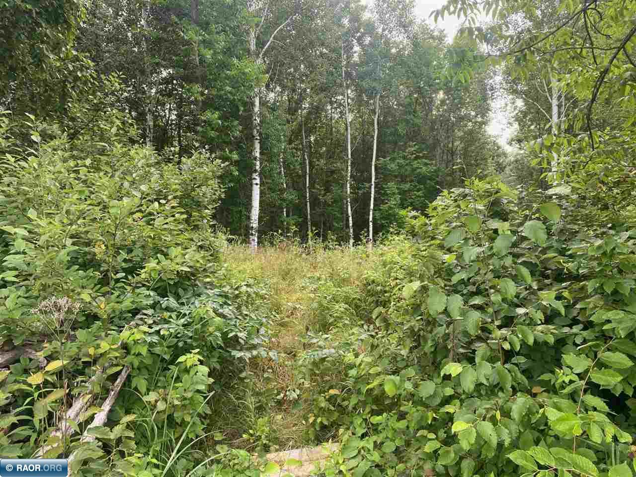 TBD Hwy 1 Tower MN 55790 - Pike River 148752 image13