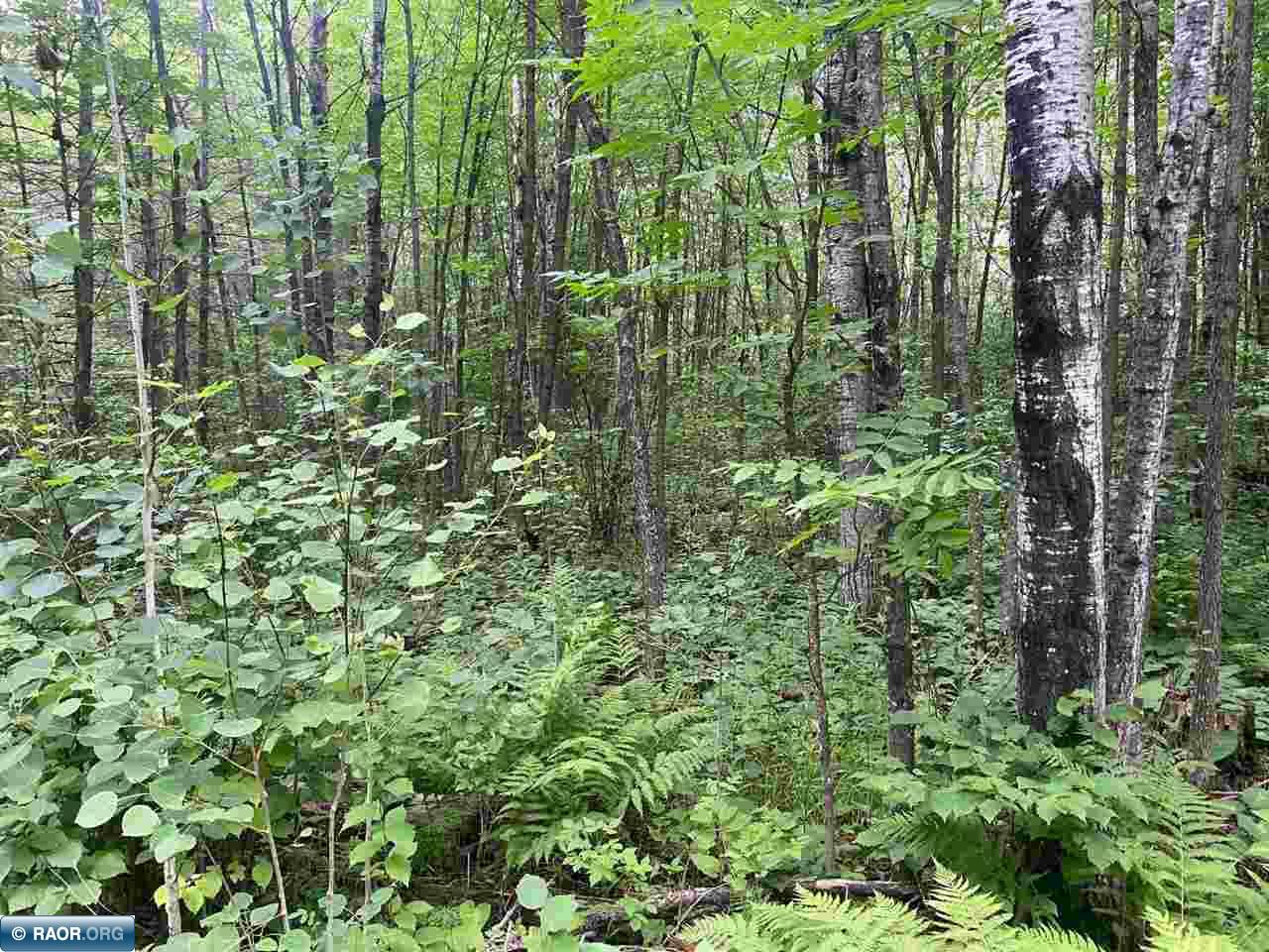 TBD Hwy 1 Tower MN 55790 - Pike River 148752 image14